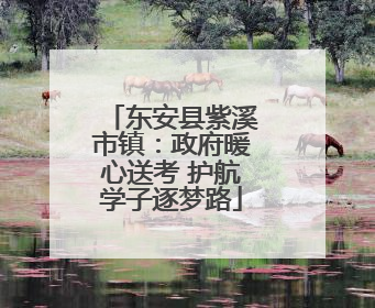 东安县紫溪市镇：政府暖心送考 护航学子逐梦路