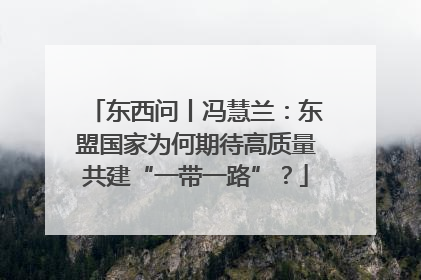 东西问丨冯慧兰：东盟国家为何期待高质量共建“一带一路”？
