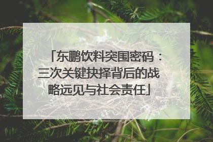 东鹏饮料突围密码：三次关键抉择背后的战略远见与社会责任