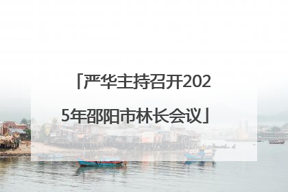 严华主持召开2025年邵阳市林长会议