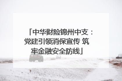 中华财险锦州中支：党建引领消保宣传 筑牢金融安全防线