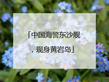 中国海警东沙舰，现身黄岩岛