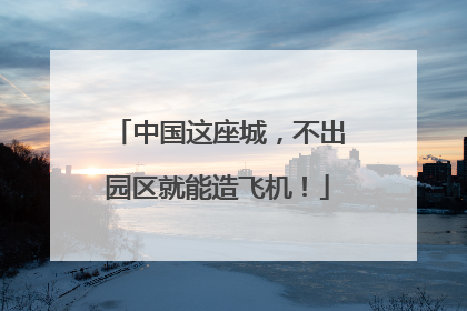 中国这座城，不出园区就能造飞机！