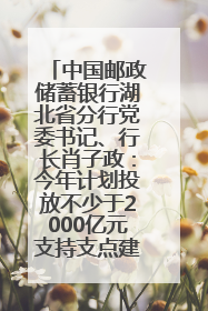 中国邮政储蓄银行湖北省分行党委书记、行长肖子政：今年计划投放不少于2000亿元支持支点建设