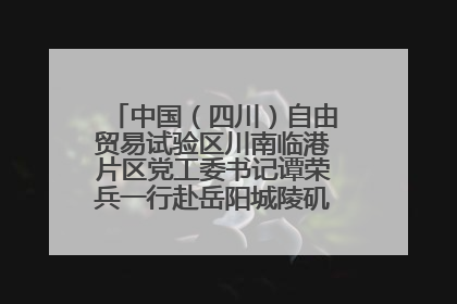 中国（四川）自由贸易试验区川南临港片区党工委书记谭荣兵一行赴岳阳城陵矶综保区考察
