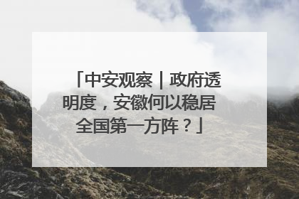 中安观察｜政府透明度，安徽何以稳居全国第一方阵？