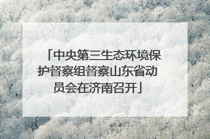 中央第三生态环境保护督察组督察山东省动员会在济南召开