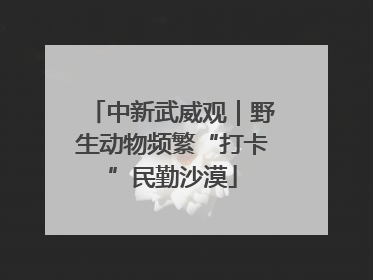 中新武威观｜野生动物频繁“打卡”民勤沙漠