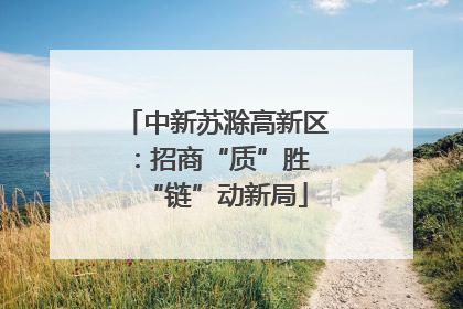 中新苏滁高新区：招商“质”胜 “链”动新局