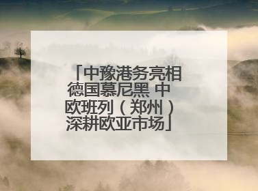 中豫港务亮相德国慕尼黑 中欧班列（郑州）深耕欧亚市场