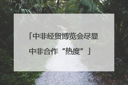 中非经贸博览会尽显中非合作“热度”