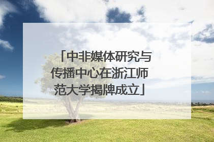 中非媒体研究与传播中心在浙江师范大学揭牌成立