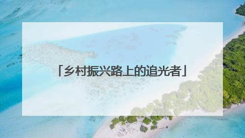 乡村振兴路上的追光者