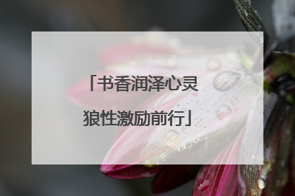 书香润泽心灵 狼性激励前行
