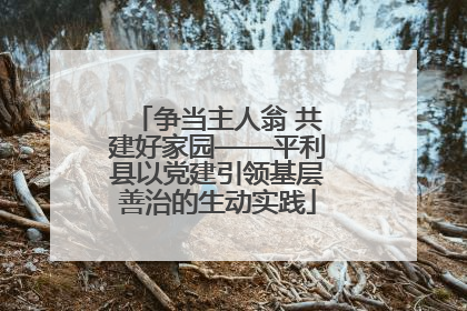 争当主人翁 共建好家园——平利县以党建引领基层善治的生动实践