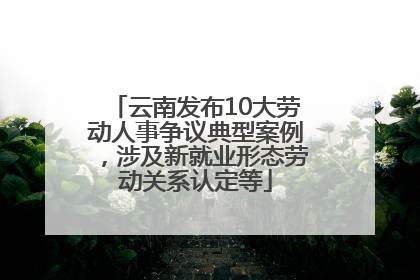 云南发布10大劳动人事争议典型案例，涉及新就业形态劳动关系认定等