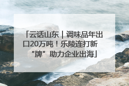 云话山东｜调味品年出口20万吨！乐陵连打新“牌”助力企业出海