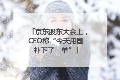 京东股东大会上，CEO称“今天用国补下了一单”