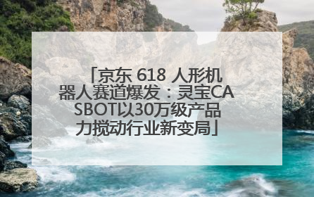 京东 618 人形机器人赛道爆发：灵宝CASBOT以30万级产品力搅动行业新变局