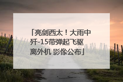 亮剑西太！大雨中歼-15带弹起飞驱离外机 影像公布