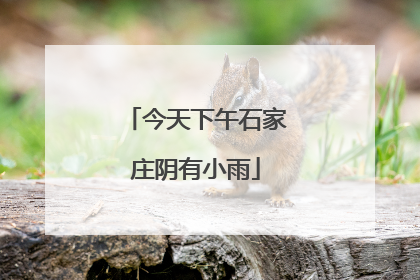 今天下午石家庄阴有小雨