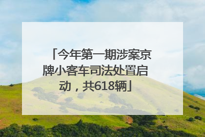 今年第一期涉案京牌小客车司法处置启动，共618辆
