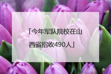 今年军队院校在山西省招收490人