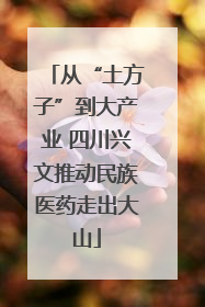 从“土方子”到大产业 四川兴文推动民族医药走出大山
