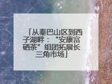 从秦巴山区到西子湖畔：“安康富硒茶”组团拓展长三角市场