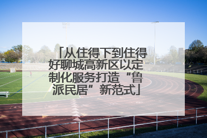 从住得下到住得好聊城高新区以定制化服务打造“鲁派民居”新范式