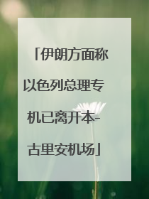 伊朗方面称以色列总理专机已离开本-古里安机场