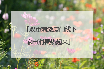 双重刺激厦门线下家电消费热起来