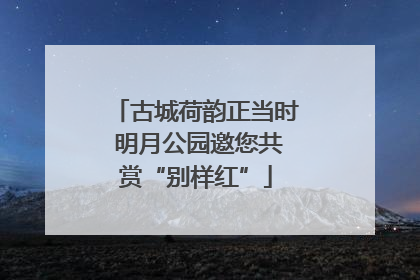 古城荷韵正当时 明月公园邀您共赏“别样红”