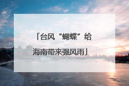 台风“蝴蝶”给海南带来强风雨