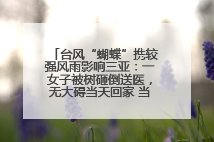 台风“蝴蝶”携较强风雨影响三亚：一女子被树砸倒送医，无大碍当天回家 当地已紧急清障