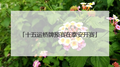 十五运桥牌预赛在泰安开赛