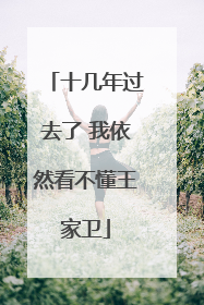 十几年过去了 我依然看不懂王家卫