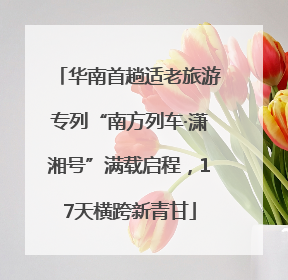 华南首趟适老旅游专列“南方列车·潇湘号”满载启程，17天横跨新青甘