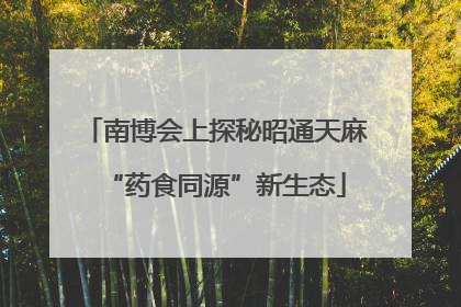 南博会上探秘昭通天麻“药食同源”新生态