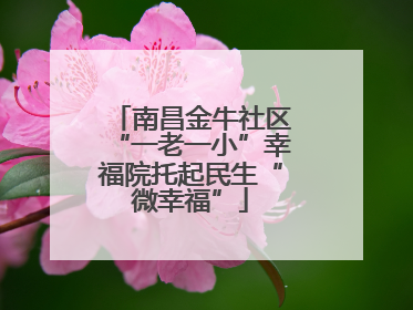 南昌金牛社区“一老一小”幸福院托起民生“微幸福”