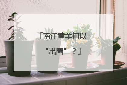 南江黄羊何以“出圈”？