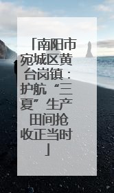 南阳市宛城区黄台岗镇：护航“三夏”生产 田间抢收正当时