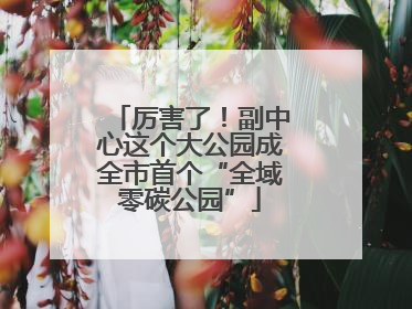 厉害了！副中心这个大公园成全市首个“全域零碳公园”
