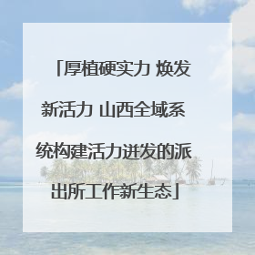 厚植硬实力 焕发新活力 山西全域系统构建活力迸发的派出所工作新生态