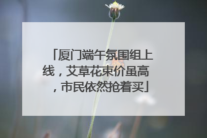厦门端午氛围组上线，艾草花束价虽高，市民依然抢着买