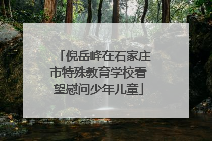 倪岳峰在石家庄市特殊教育学校看望慰问少年儿童
