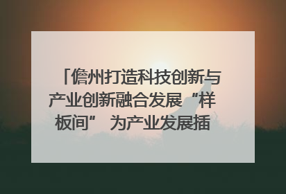 儋州打造科技创新与产业创新融合发展“样板间” 为产业发展插上科技“翅膀”