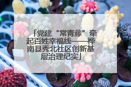 党建“常青藤”牵起百姓幸福线——桦南县秀北社区创新基层治理纪实