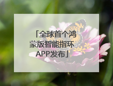全球首个鸿蒙版智能指环APP发布