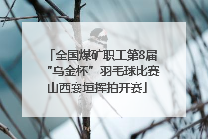 全国煤矿职工第8届“乌金杯”羽毛球比赛山西襄垣挥拍开赛